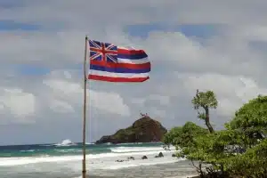 Hawaii Flag - Digital Wager Wire Hawaii Flag