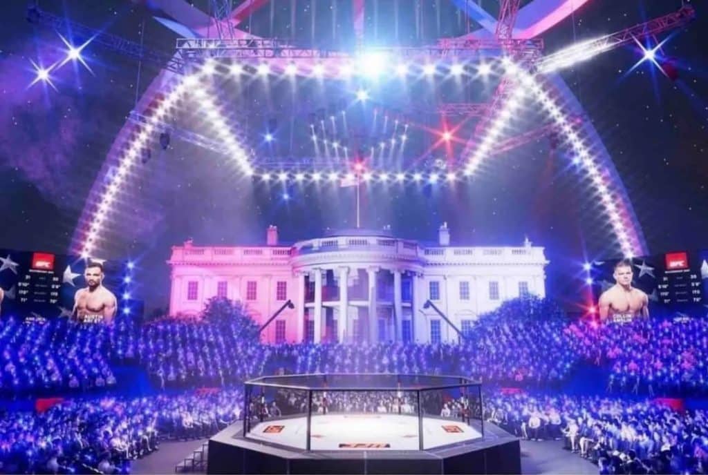 ufc at lawn - Digital Wager Wire