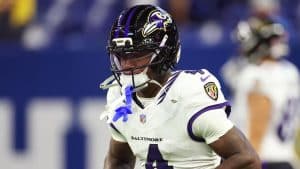 baltimore ravens